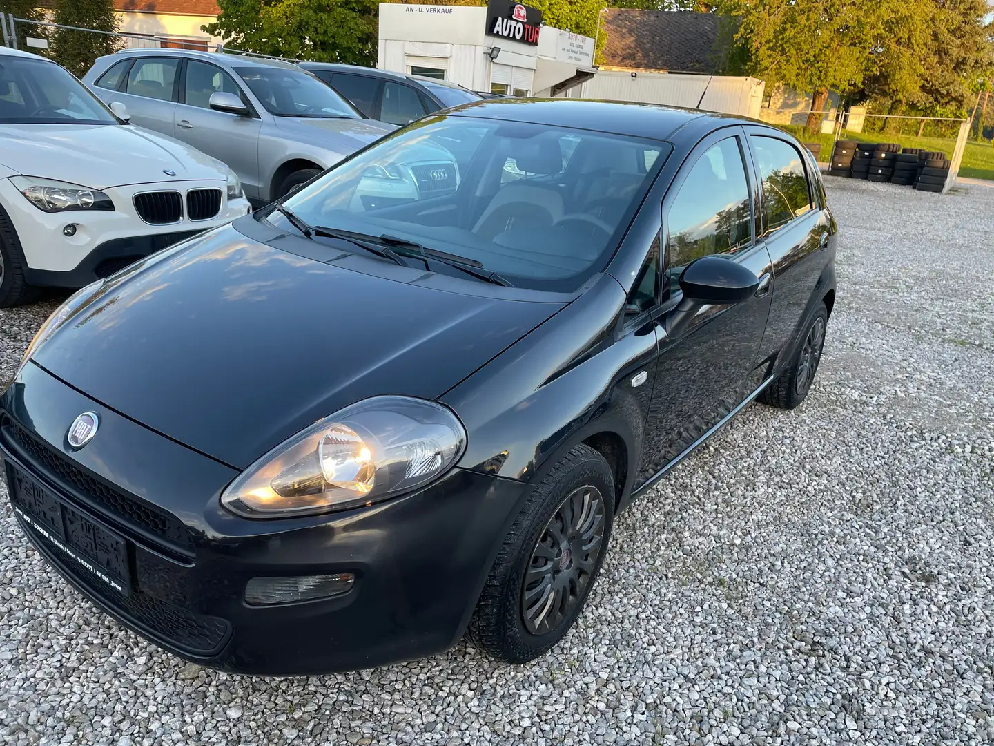 Fiat Punto 1,2+VERKAUFEN EXPORT Negro - 1