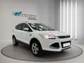 Ford Kuga 2.0TDCi Trend 4x2 120 Blanco - thumbnail 8