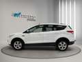 Ford Kuga 2.0TDCi Trend 4x2 120 Blanco - thumbnail 3