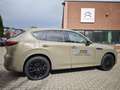 Mazda CX-60 2.5L e-SKYACTIV PHEV 8AT AWD Homura Plus Vert - thumbnail 4