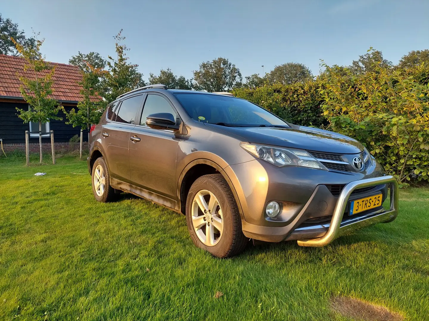 Toyota RAV 4 RAV 4 2.0D Dynamic Gris - 2