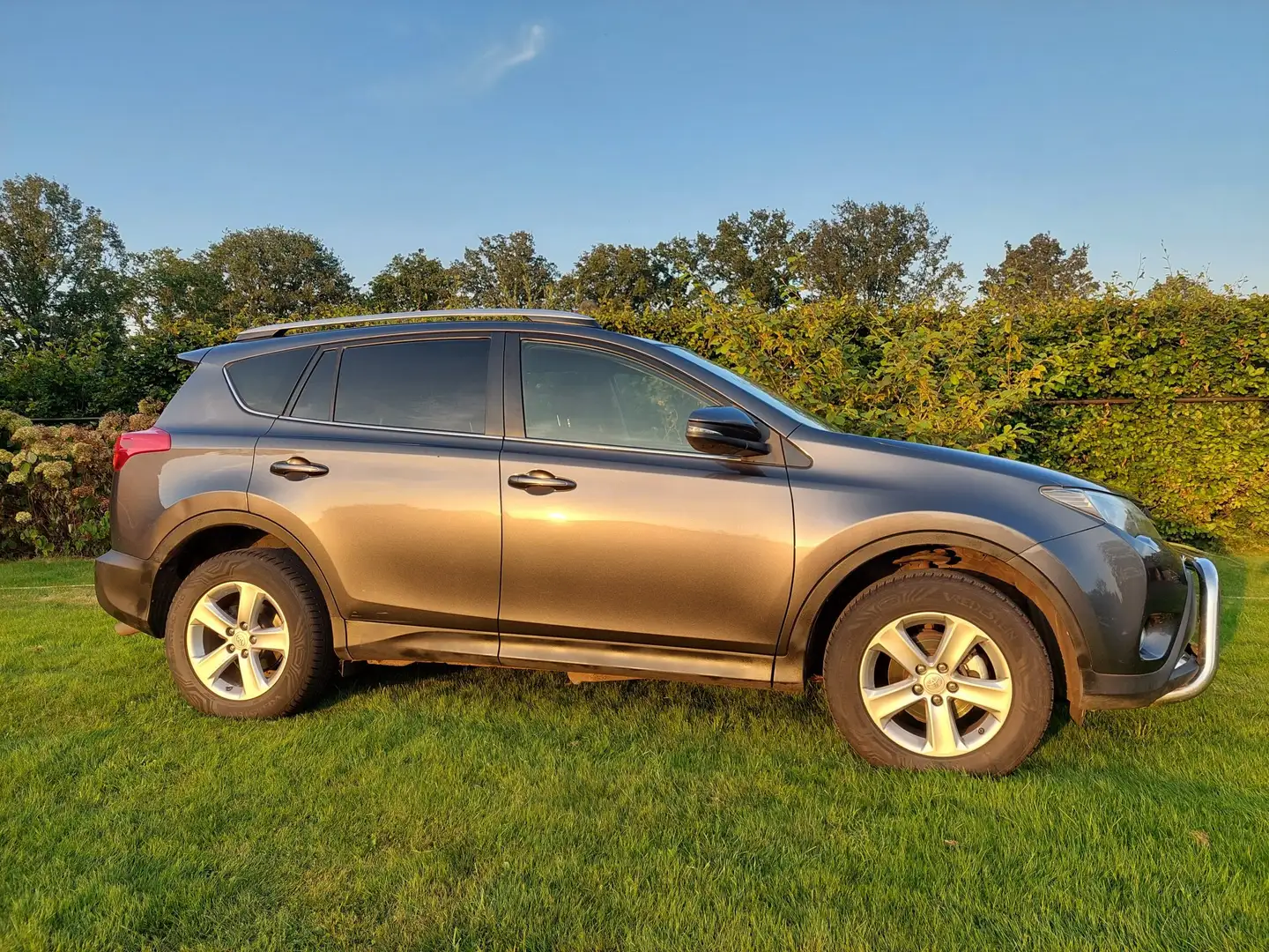 Toyota RAV 4 RAV 4 2.0D Dynamic Gris - 1