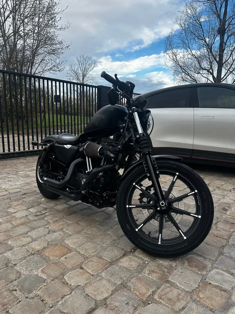 Harley-Davidson Iron 883 Zwart - 1