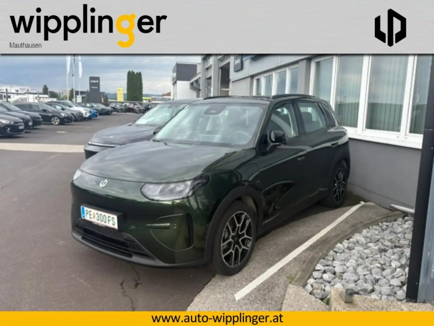Leapmotor Design Promax Grün - 1