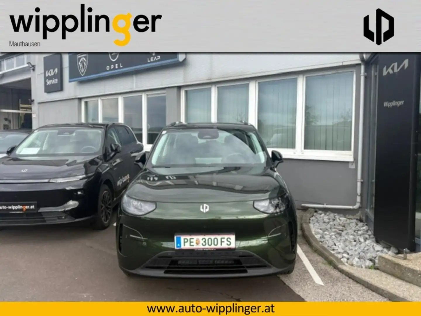 Leapmotor Design Promax Grün - 2