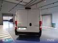 Citroen Jumper BlueHDi 103KW Furgón 35L3H2 Driver Weiß - thumbnail 5