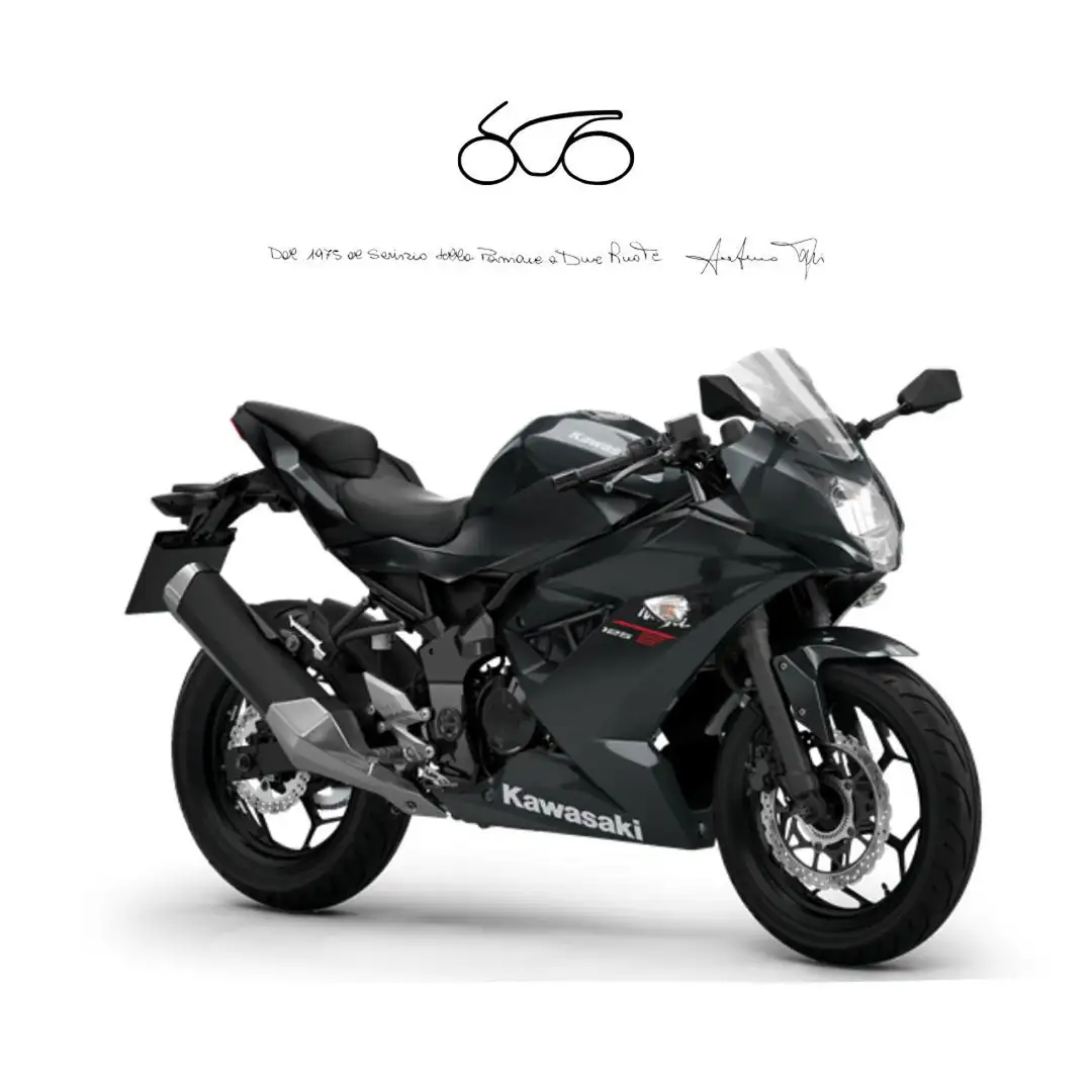 Kawasaki Ninja 125 . Nero - 1