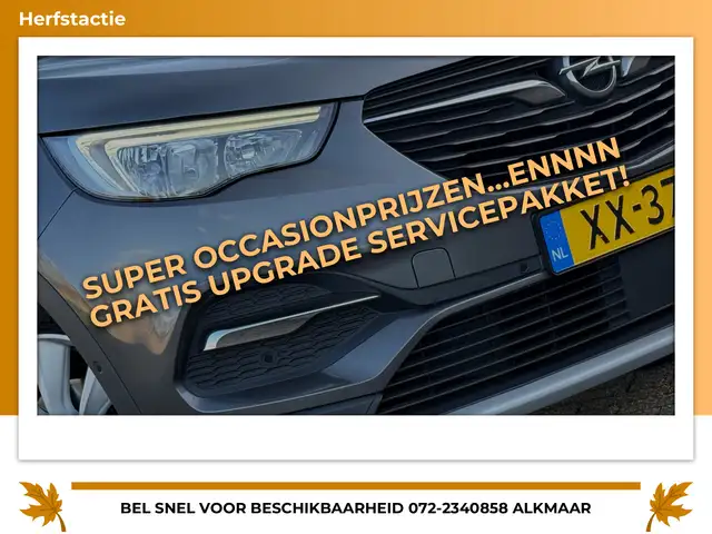 Opel Grandland X 1.2 Turbo Business Executive - Moonstone Grey - 19