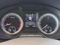 Skoda Octavia 1.5 TSI ACT Aut. Ambition OPF*1.BESITZ* Silber - thumbnail 25