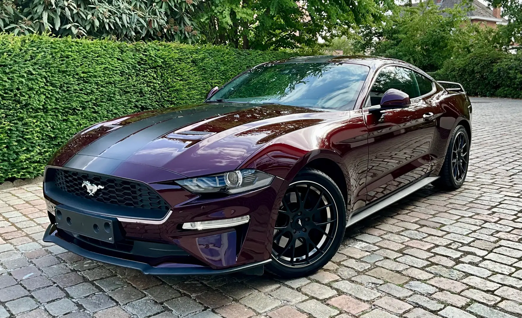 Ford Mustang Mustang 2.3 EcoBoost  ### 48000 km ### Mauve - 1