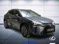 Lexus UX 250h Midnight 2wd cvt Schwarz - thumbnail 4
