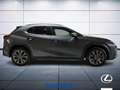 Lexus UX 250h Midnight 2wd cvt Schwarz - thumbnail 5