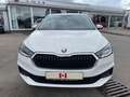 Skoda Fabia Ambition Blanco - thumbnail 3