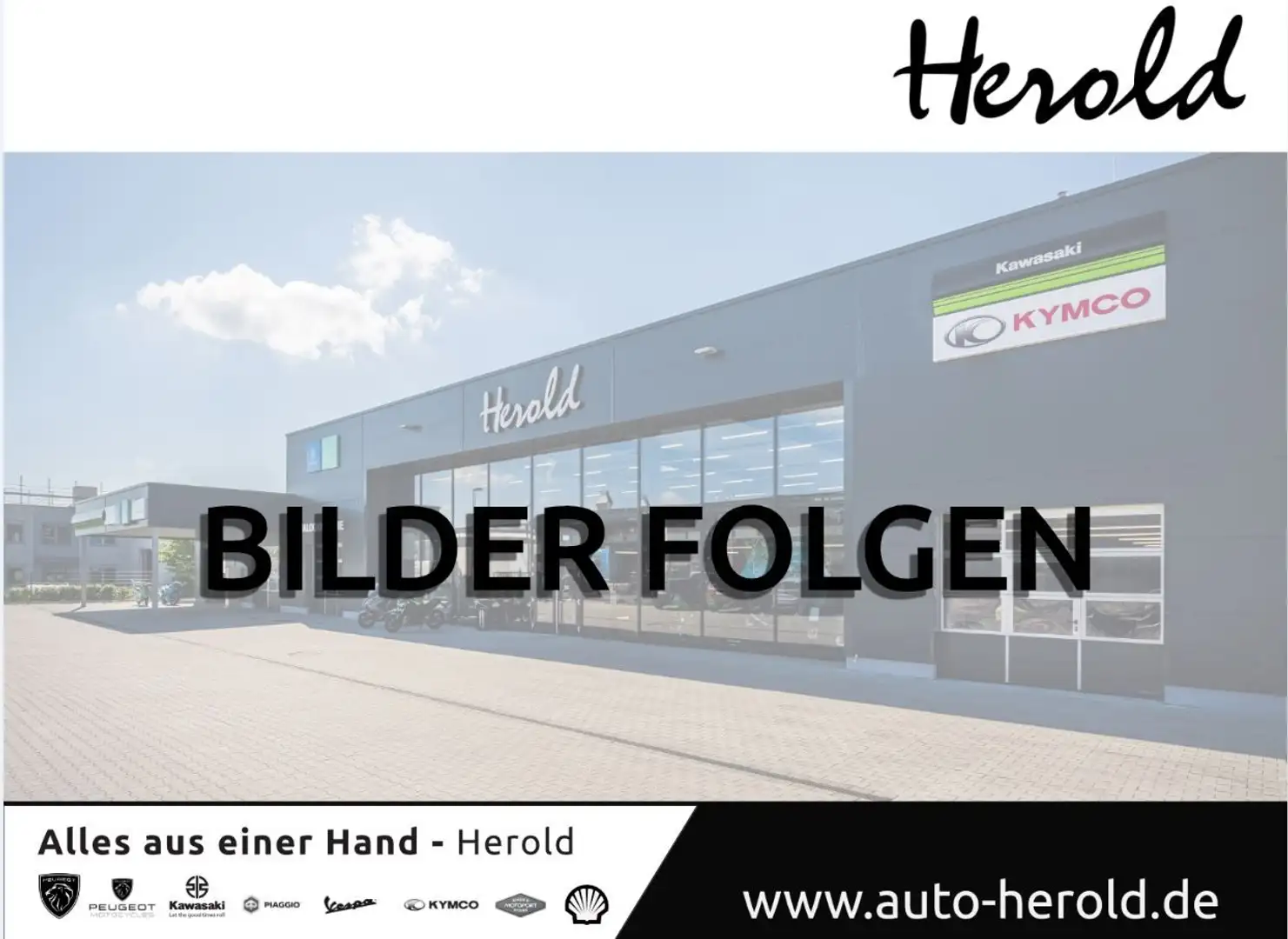 Kawasaki Versys 1100 SE Grand Tourer WERKSGARANTIE! Negro - 1