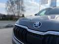 Skoda Kodiaq 2,0 TDI SCR 4x4 Style SC DSG Grau - thumbnail 7