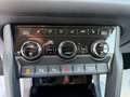 Skoda Kodiaq 2,0 TDI SCR 4x4 Style SC DSG Grau - thumbnail 39