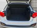 Audi Q2 35 TFSI S-LINE *AHK*MATRIX*NAVI*ACC*R.KAM*PLA Weiß - thumbnail 9