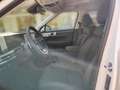 Hyundai SANTA FE 1.6 T-GDI Hybrid Signature 2WD Auto Blanc - thumbnail 8