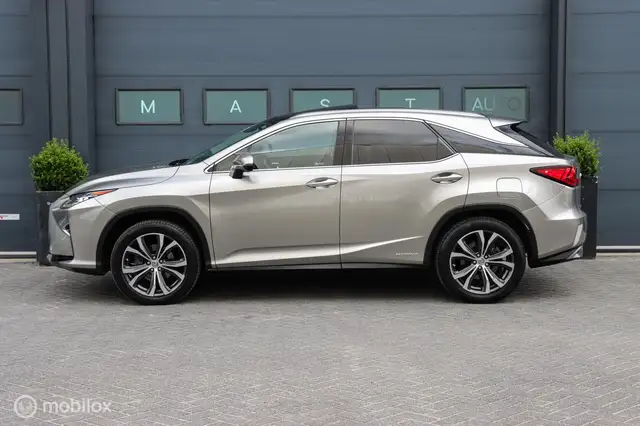 Lexus RX view 14