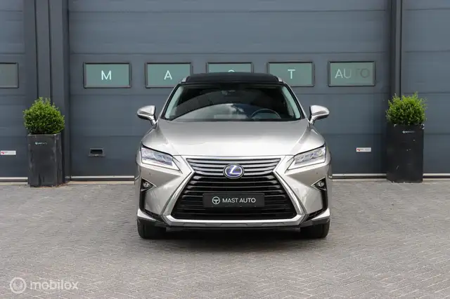 Lexus RX view 2