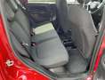 Fiat Panda 1.0 70cv CROSS - NO VINCOLI!! Rosso - thumbnail 5