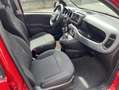 Fiat Panda 1.0 70cv CROSS - NO VINCOLI!! Rosso - thumbnail 6