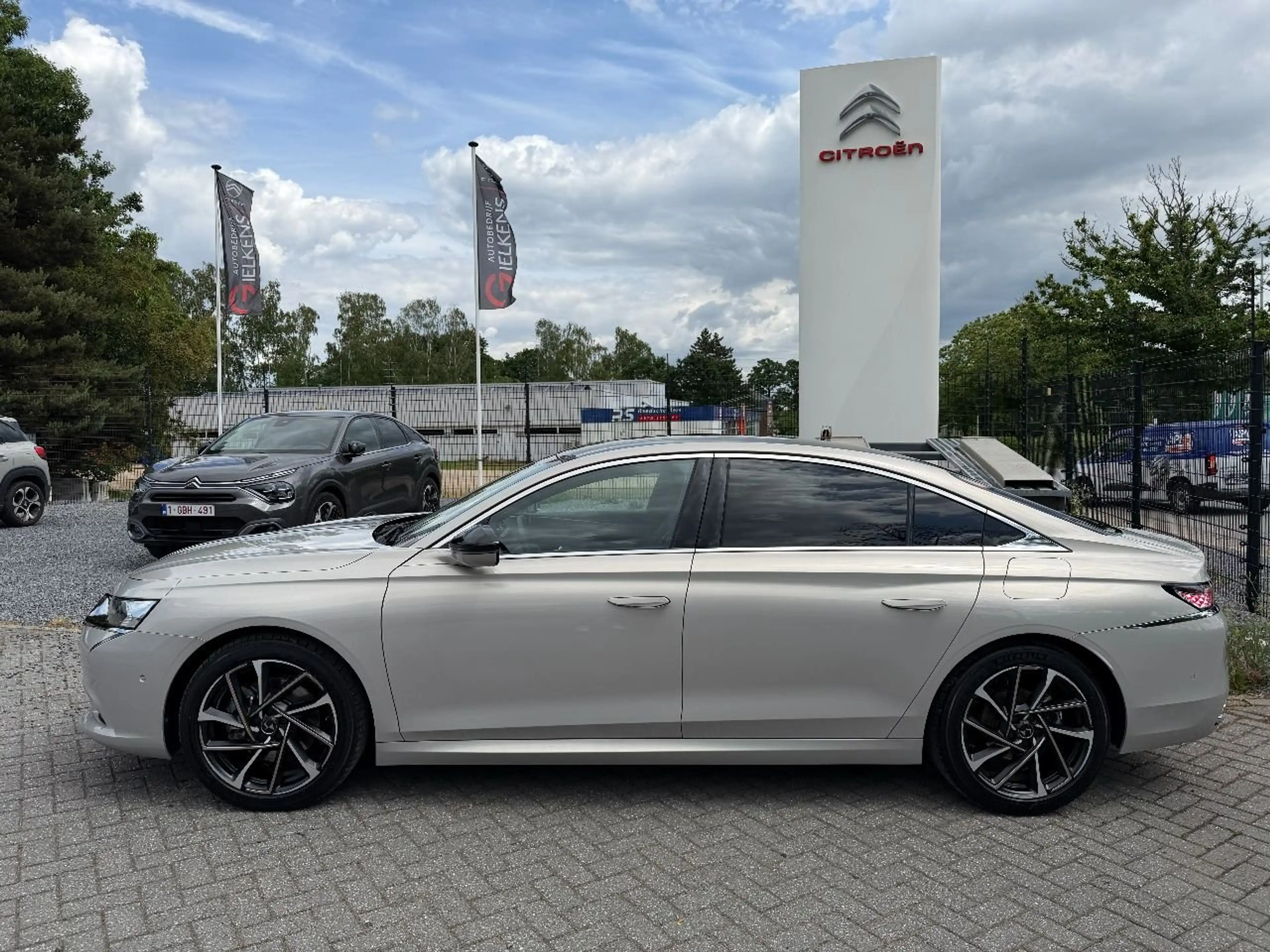 DS Automobiles DS 9 E-Tense 250 Rivoli + — photo 2