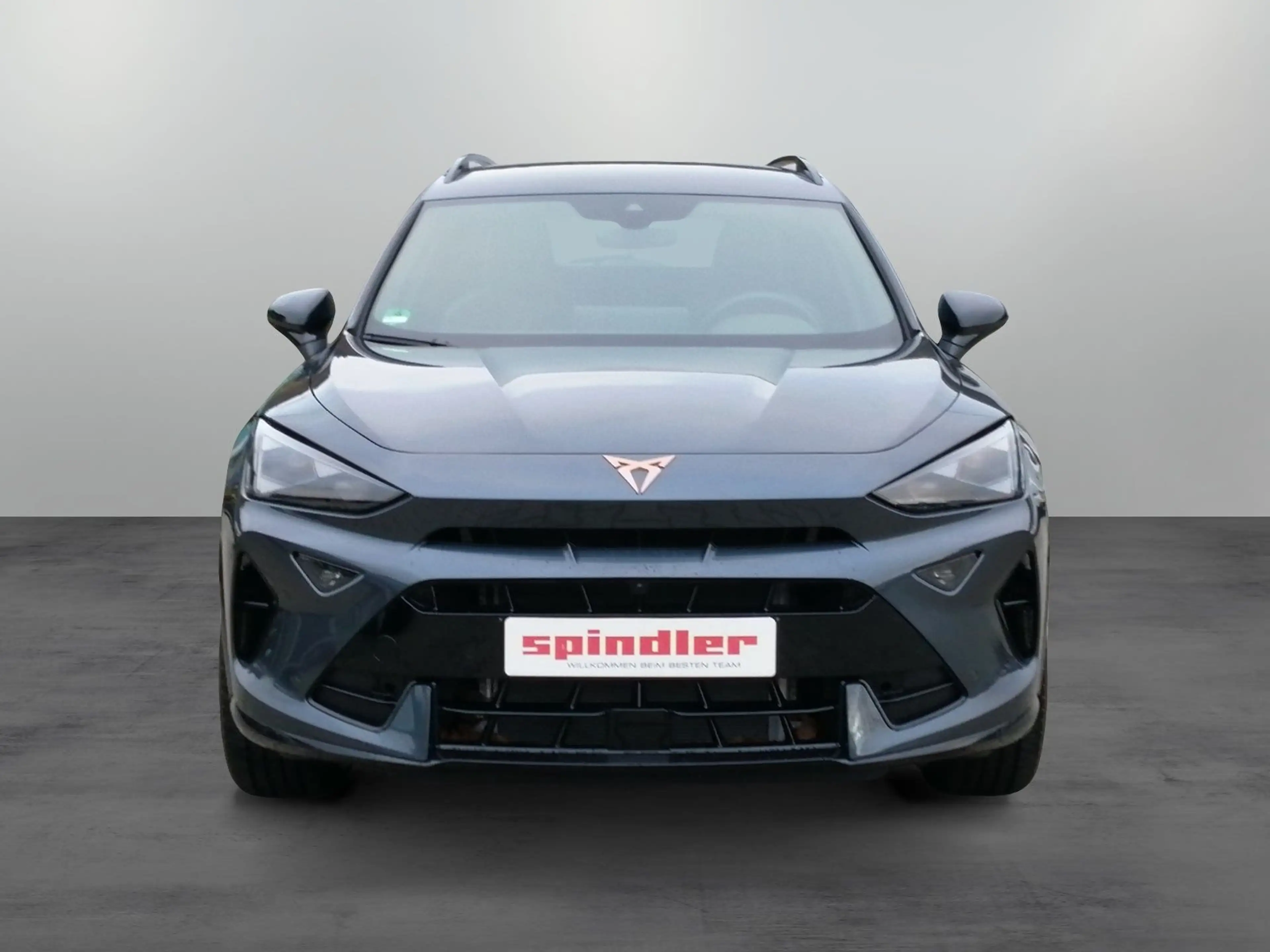 CUPRA Formentor 1.5 eTSI DSG / AHK, 360°, Matrix, Navi — photo 4