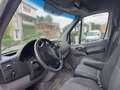 Mercedes-Benz Sprinter 313 CDI F37/33 TA - thumbnail 5