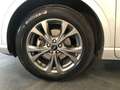 Ford Kuga 1.5 EcoBlue 120 CV aut. 2WD ST-Line Zilver - thumbnail 17