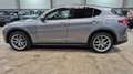 Alfa Romeo Stelvio Stelvio 2.0 Turbo 16V AT8-Q4 Super Gris - thumbnail 8