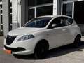 Lancia Ypsilon Ypsilon 0.9 TwinAir 85 CV 5 porte Metano Ecochic E Blanc - thumbnail 3