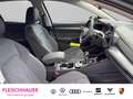 Volkswagen Golf VIII 1.5 TSI Style+LED+ACC+KLIMAAUT+DAB Grau - thumbnail 10