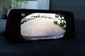 Mazda CX-5 2.5 SkyActiv-G 194 GT-M 4WD Navi/Adaptive Cruise/B Bleu - thumbnail 18