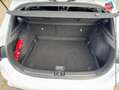 Kia Ceed / cee'd 1.5 T-GDI 160ch Active Weiß - thumbnail 14