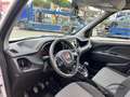 Fiat Doblo Doblò 1.6 MJT 105CV Work-Up Maxi * PREZZO + IVA * Blanco - thumbnail 10