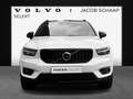 Volvo XC40 T5 Twin Engine R-Design / Panoramadak / 360 camera Wit - thumbnail 3