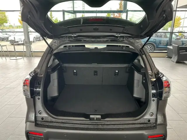 Suzuki SX4 S-Cross view 9