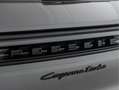 Porsche Cayenne Turbo E-Hybrid Grijs - thumbnail 19