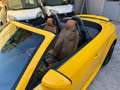 Audi TT TT III 2015 Roadster Roadster 1.8 tfsi S line Giallo - thumbnail 8