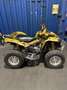 Can-Am Renegade - thumbnail 3