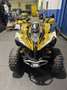 Can-Am Renegade - thumbnail 4
