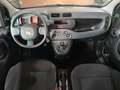 Fiat Panda 1.0 MILD-HYBRID+TAGESZULASSUNG+KLIMA+EFH+ Blanc - thumbnail 15