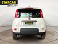 Fiat Panda 1.0 MILD-HYBRID+TAGESZULASSUNG+KLIMA+EFH+ Blanc - thumbnail 10