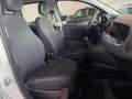 Fiat Panda 1.0 MILD-HYBRID+TAGESZULASSUNG+KLIMA+EFH+ Blanc - thumbnail 14