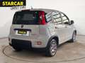 Fiat Panda 1.0 MILD-HYBRID+TAGESZULASSUNG+KLIMA+EFH+ Blanc - thumbnail 7