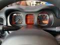 Fiat Panda 1.0 MILD-HYBRID+TAGESZULASSUNG+KLIMA+EFH+ Blanc - thumbnail 17