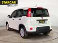 Fiat Panda 1.0 MILD-HYBRID+TAGESZULASSUNG+KLIMA+EFH+ Blanc - thumbnail 5