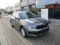 Skoda Kamiq 1.0 tsi Selection 95cv Grigio - thumbnail 2