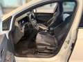Volkswagen Golf VIII 1.5 eTSI R-Line Pano+HeadUp+Keyless+Navi+++ Weiß - thumbnail 7